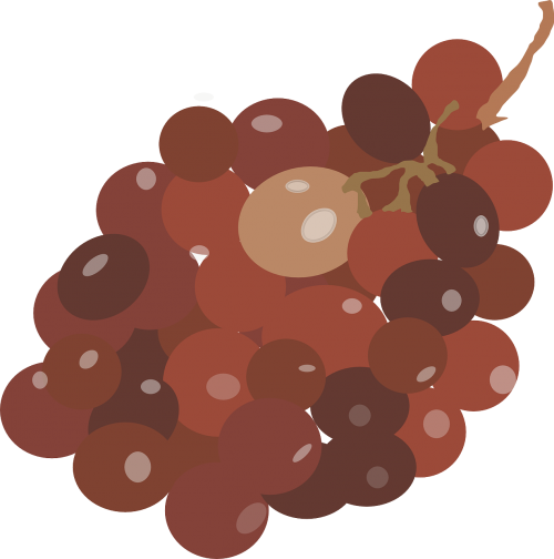 Vynuogės, Raudona, Ruda, Vaisiai, Nemokama Vektorinė Grafika