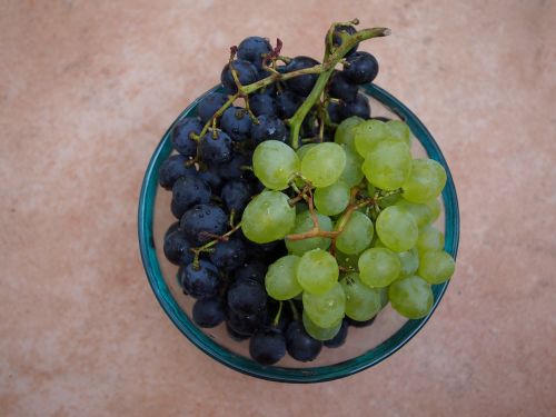 Vynuogės, Raudona, Mėlynas, Vynuogynai, Vaisiai, Sveikas, Vitaminai, Antioksidantai, Vitis, Kultupflanze