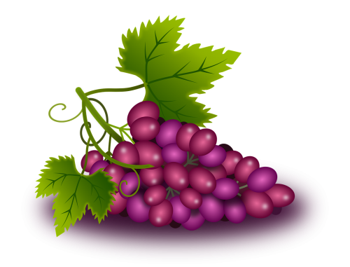 Vynuogės, Vynmedis, Vynuogynas, Vynas, Vaisių Sodas, Augalai, Gamta, Daržovių, Parras, Gerti, Cacho, Tinto, Karminas