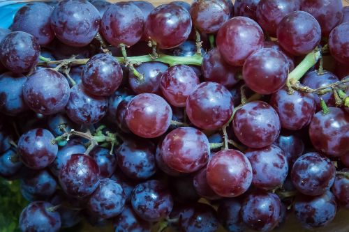 Vynuogės, Vaisiai, Vynuogių Auginimas, Raudonos Vynuogės, Vynas, Vynmedis, Stalo Vynuogės