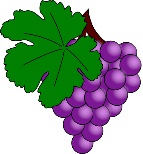 Vynuogės, Vaisiai, Violetinė, Vynmedis, Lapai, Maistas, Vynuogių, Nemokama Vektorinė Grafika
