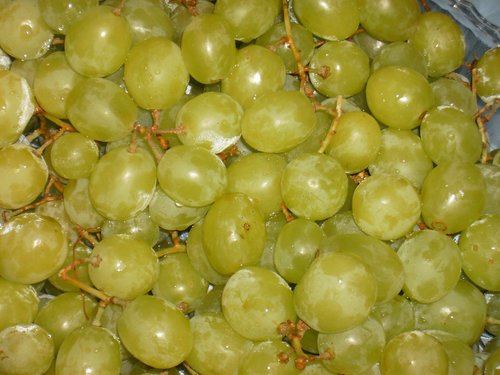 Vynuogės,  Vaisių,  Žalias,  Puokštė