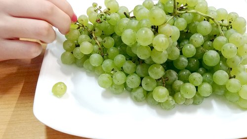 Vynuogės,  Ceongpodo,  Vaisių,  Chartreuse,  Sedžongas,  Korėja