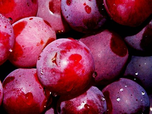 Vynuogės, Vaisiai, Vynuogė, Nuplauti Vaisius
