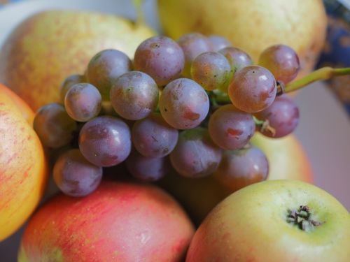 Vynuogės, Vaisiai, Žalias, Sveikas, Saldus, Vitaminai