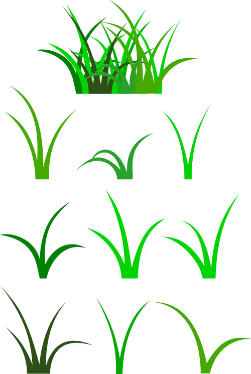 Žolė, Žalias, Augalas, Augmenija, Nemokama Vektorinė Grafika