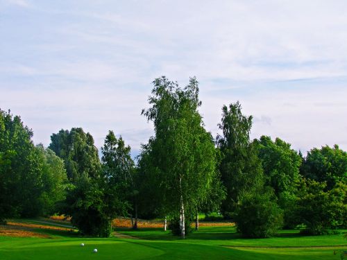 Žolė, Žalias, Laukas, Gamta, Vasara