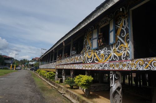 Žolė, Kraštovaizdis, In, Lauke, Sodas, Kalimantanas, Dayak