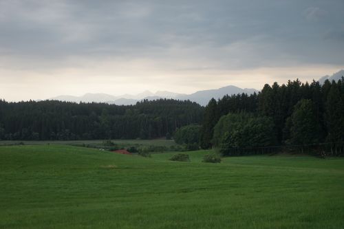 Žolė,  Medis,  Kraštovaizdis,  Gamta,  Be Honoraro Mokesčio