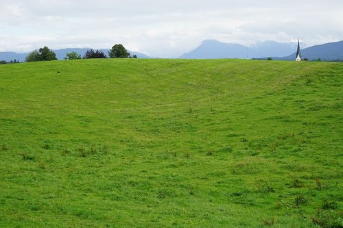 Žolė,  Pobūdį,  Laukas,  Kraštovaizdis