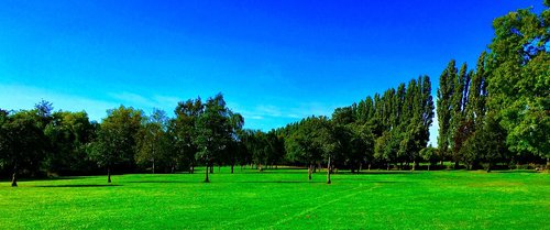 Žolė,  Hayfield,  Pobūdį,  Medis,  Kraštovaizdis,  Panoraminis