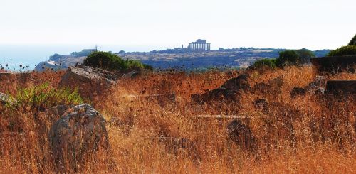 Žolė, Akropolis, Dahl