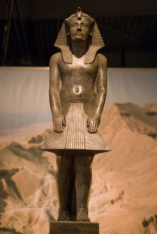 Kapas, Tutankhamun, Egiptas