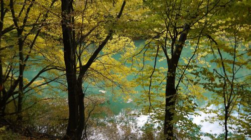 Žalias, Ežeras, Gamta, Kraštovaizdis, Medžiai, Nacionalinis Parkas, Vandens Atspindys, Vandens Paviršius, Miško Ežeras, Ruduo, Atspindys, Miškas, Nuotaika