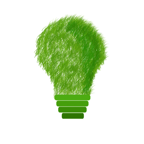 Žalias, Ekologija, Echo, Ekologiškai Tvarus, Tvarumas, Šviesa, Lemputė, Energija, Energijos Taupymas, Taupymas, Žolė, Prato, Žolės Žolės, Elektros Srovė, Gamta