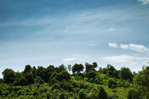 Žalias, Augalas, Medžiai, Gamta, Kraštovaizdis, Highland, Kalnas, Mėlynas, Dangus