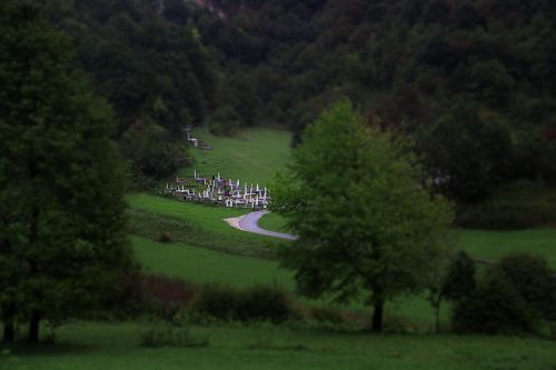 Žalias, Gamta, Kraštovaizdis, Medžiai, Kelias