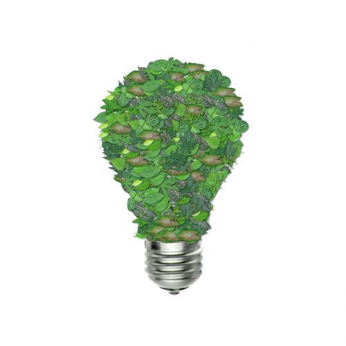 Žalia Lemputė, Ekologija, Žalias, Energija, Aplinka, Aplinkosauga, Ekologinis, Lemputė