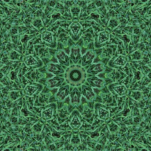 Kvadratas,  Kaleidoskopas,  Modelis,  Tekstūra,  Žalias,  Žolė,  Spalva,  Figūra,  Žalia Žolė