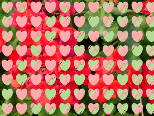Fonas,  Tapetai,  Širdis,  Širdis,  Meilė,  Romantika,  Romantiškas,  Valentino Diena & Nbsp,  Spalvinga,  Gėlė,  Gėlės,  Sluoksniuota,  Meno,  Žalias,  Žalia Širdis Ant Gėlių