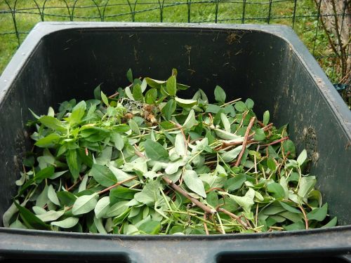 Žaliosios Atliekos, Kompostavimas, Perdirbimas