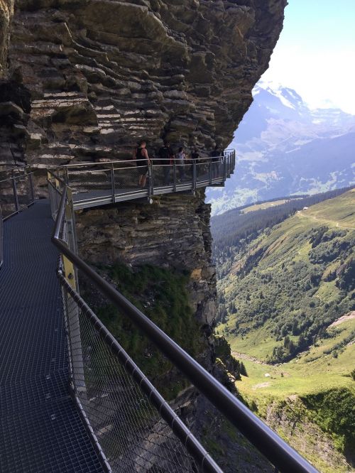 Grindelwald, Šveicarija, Skywalk, Alpių, Kalnai, Gamta, Berni Oberland