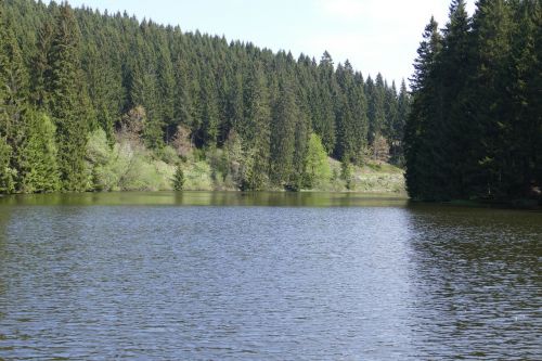 Grumbach Tvenkinys, Ežeras, Vanduo, Miškas, Gamta, Kraštovaizdis