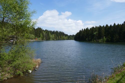 Grumbach Tvenkinys, Hahnenklee, Tvenkinys, Ežeras, Vanduo, Miškas, Gamta, Bankas