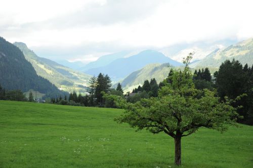 Gstaad,  Kalnas,  Šveicarija,  Kraštovaizdis,  Vasara