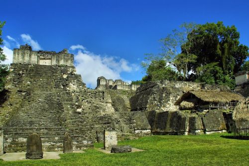 Gvatemala, Tika, Maya, Civilizacija, Columbian, Griuvėsiai, Vieta, Atogrąžų Miškai
