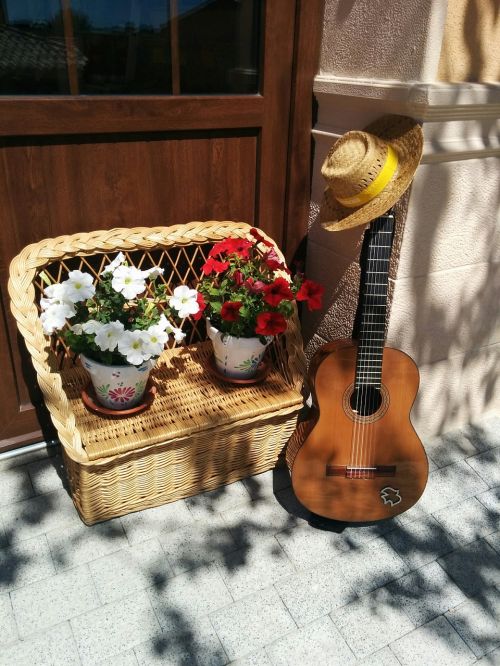 Gitara, Gėlės, Puodai, Skrybėlę