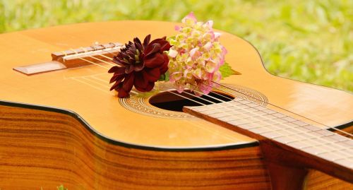 Gitara, Muzikinis Instrumentas, Muzika, Styginis Instrumentas, Instrumentas, Akustine Sistema, Medinė Gitara, Gėlių Sveikinimas