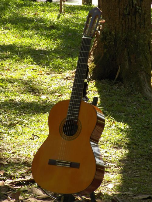 Gitara, Muzika, Muzikos Instrumentai
