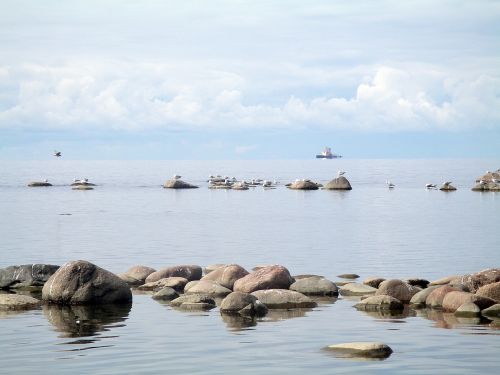 Finlando Įlanka, Jūra, Akmenys, Horizontas, Horizonto Laivas, Romantika, Baltijos Jūra, Dangus, Papludimys