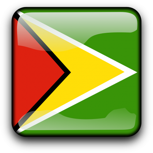 Guyana, Vėliava, Šalis, Tautybė, Kvadratas, Mygtukas, Blizgus, Nemokama Vektorinė Grafika