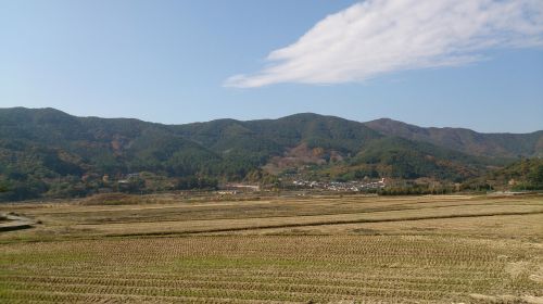 Gwangyang, Fonas, Kraštovaizdis, Jeolla-Do, Korėjos Respublika, Ryžių Laukai