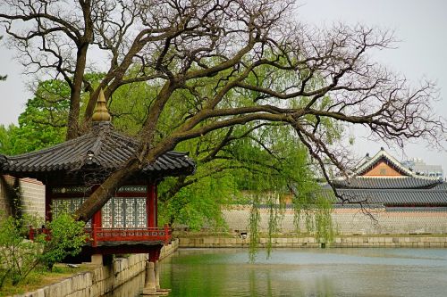 Gyeongbok Rūmai,  Gamta,  Kraštovaizdis,  Ežeras,  Tradicinis,  Asian,  Struktūra