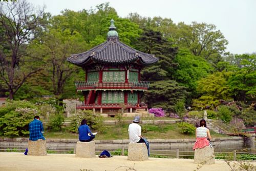 Gyeongbok Rūmai,  Gamta,  Vyras,  Studentas,  Figūra,  Peizažas,  Asian Architektūra