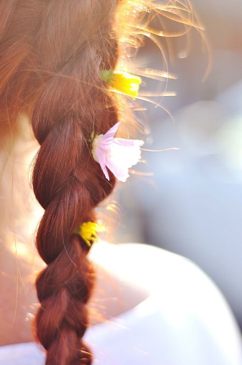 Plaukai,  Pintys,  Gėlės,  Vasara,  Raudona