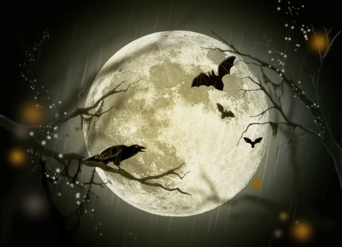Halloween,  Atostogos,  Paslaptis,  Fėja & Nbsp,  Pasaka,  Mėnulis,  Varna,  Piešimas,  Dizainas,  Atvirukas,  Halloween