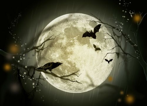 Halloween, Atostogos, Paslaptis, Pasaka, Mėnulis, Varna, Piešimas, Dizainas, Atvirukas