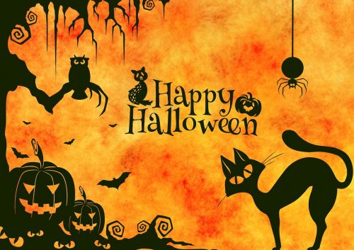 Halloween, Katė, Keista, Sirrealis, Atmosfera, Creepy, Moliūgas, Voras, Pelėdos, Siluetas, Laimingas Halloween