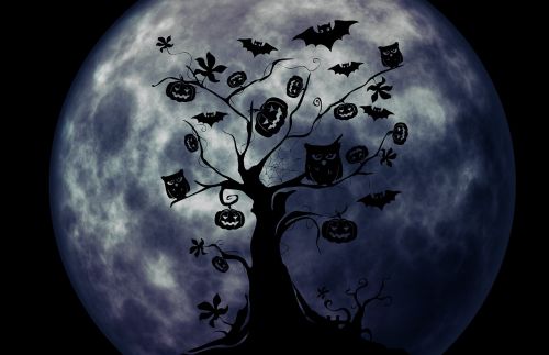 Halloween, Medis, Pelėdos, Moliūgas, Keista, Sirrealis, Atmosfera, Šikšnosparnis, Mėnulis, Siluetas