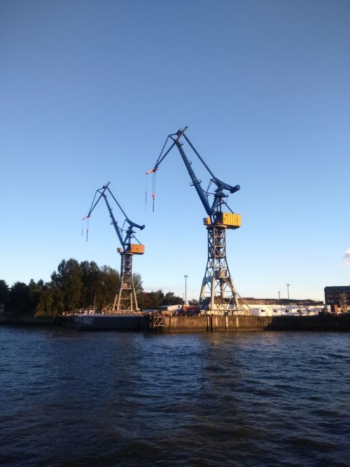 Hamburgas, Uostas, Kranai, Uosto Kranai