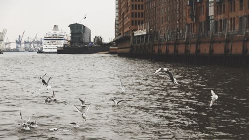 Hamburgas,  Kaukolės,  Uostas,  Kranai,  Laivas,  Uosto Miestas,  Žuvų Parduotuvė,  Be Honoraro Mokesčio