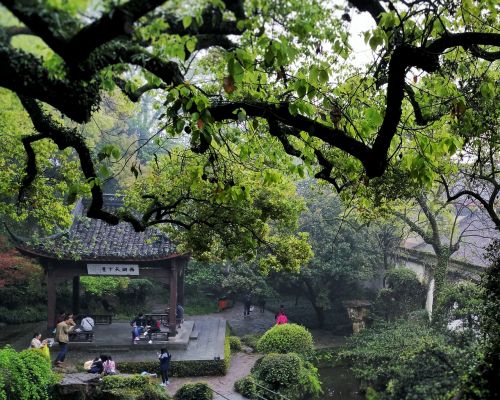 Hangzhou, Kraštovaizdis, Ching Ming, Parkas, Sodas
