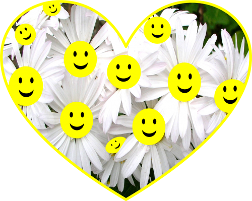 Laimingas, Veidas, Daisy, Gėlės, Smiley, Šypsosi, Balta, Geltona, Džiaugsmas, Linksma, Laimė, Linksmas, Išraiška, Akys, Mielas, Juokiasi, Juoktis, Juokinga, Džiaugsmingas
