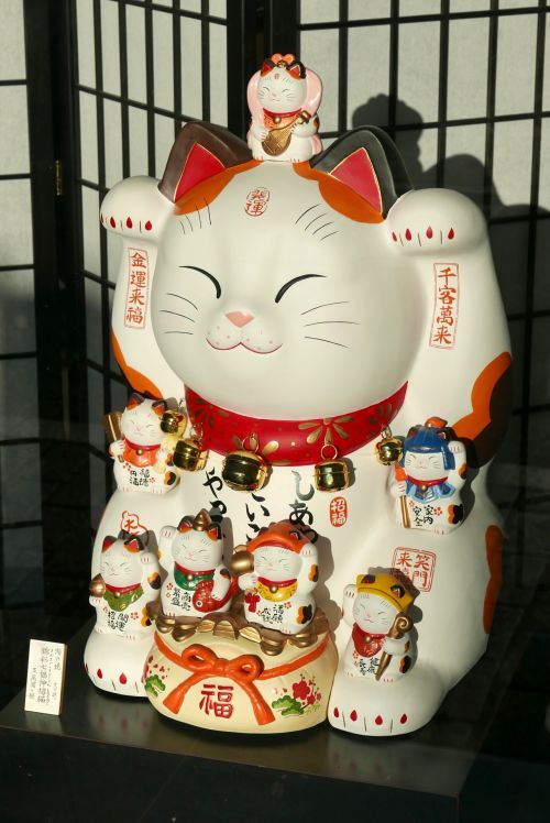 Katė,  Laimingas,  Seto,  Japonija,  Laimingas Katinas