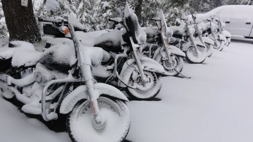 Harley Davidson, Motociklas, Sniegas, Snieguotas, Žiema, Prisnigo Į