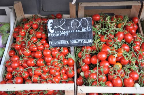 Derlius, Turgus, Italy, Daržovės, Pomidorai